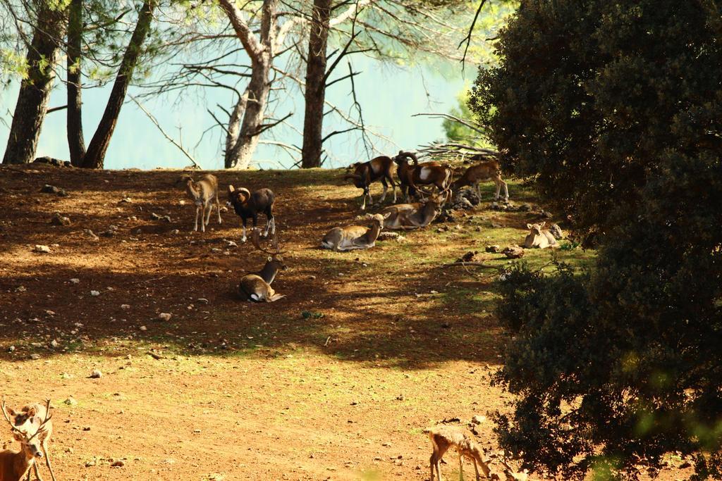 Hotel Balneario Parque De Cazorla Arroyo Frio Esterno foto