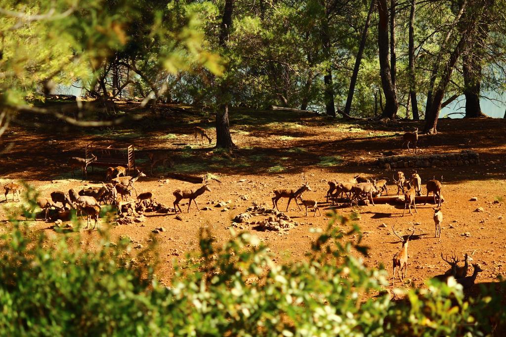 Hotel Balneario Parque De Cazorla Arroyo Frio Esterno foto